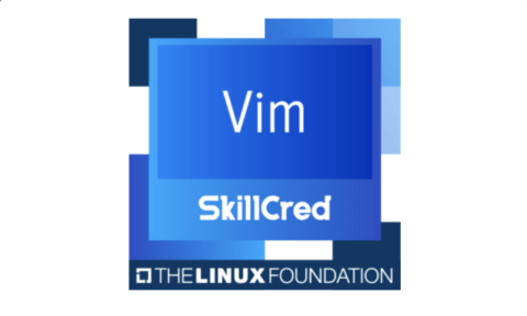 Vim SkillCred Coupon Code